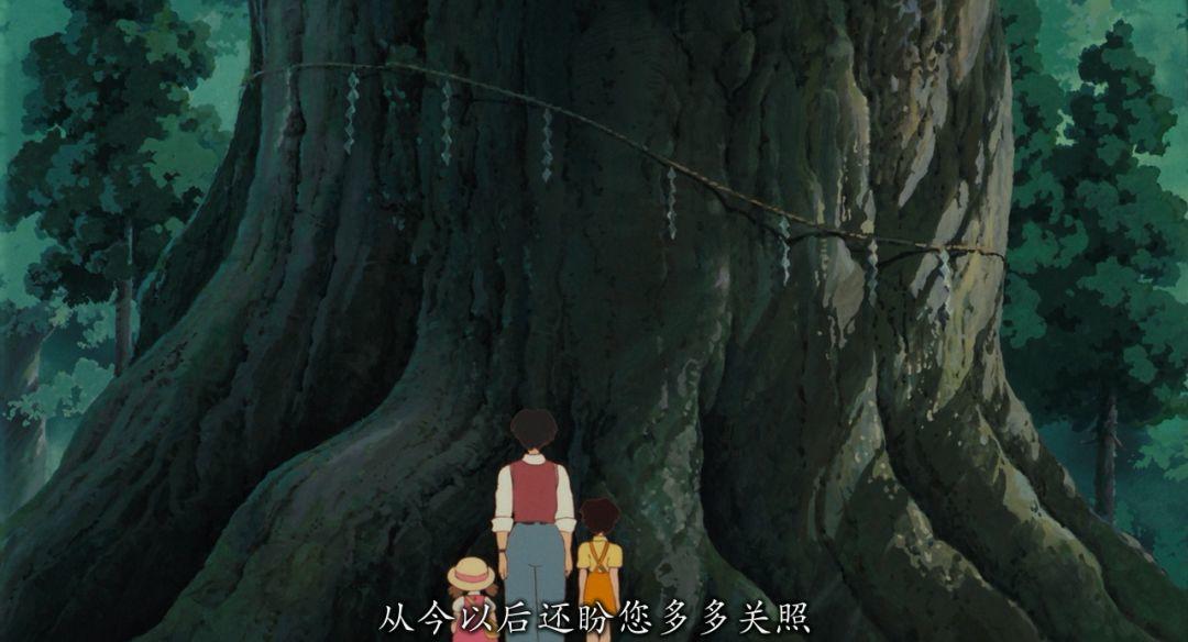 所有9分以上电影,所有9分以上的电影