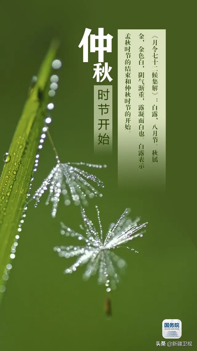 白露|“露凝而白也”，仲秋时节开始了