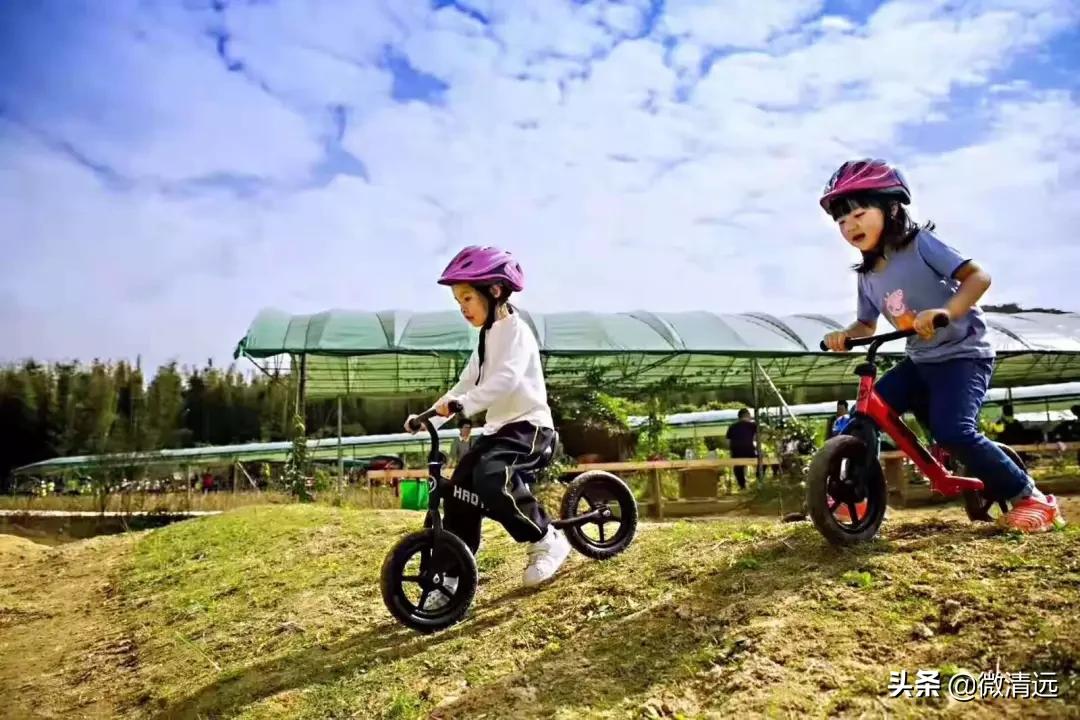 清远鹅汤圆,清远过年哪里免门票