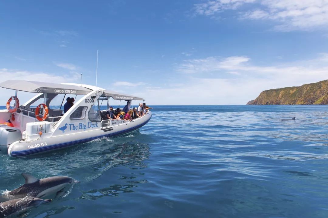 澳大利亚游的最佳线路,澳大利亚旅游攻略10天线路