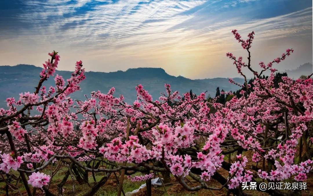 美成仙境,美成了仙境