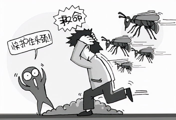 今年被马蜂蜇死多少人,多人被马蜂蜇伤目前已送医治疗