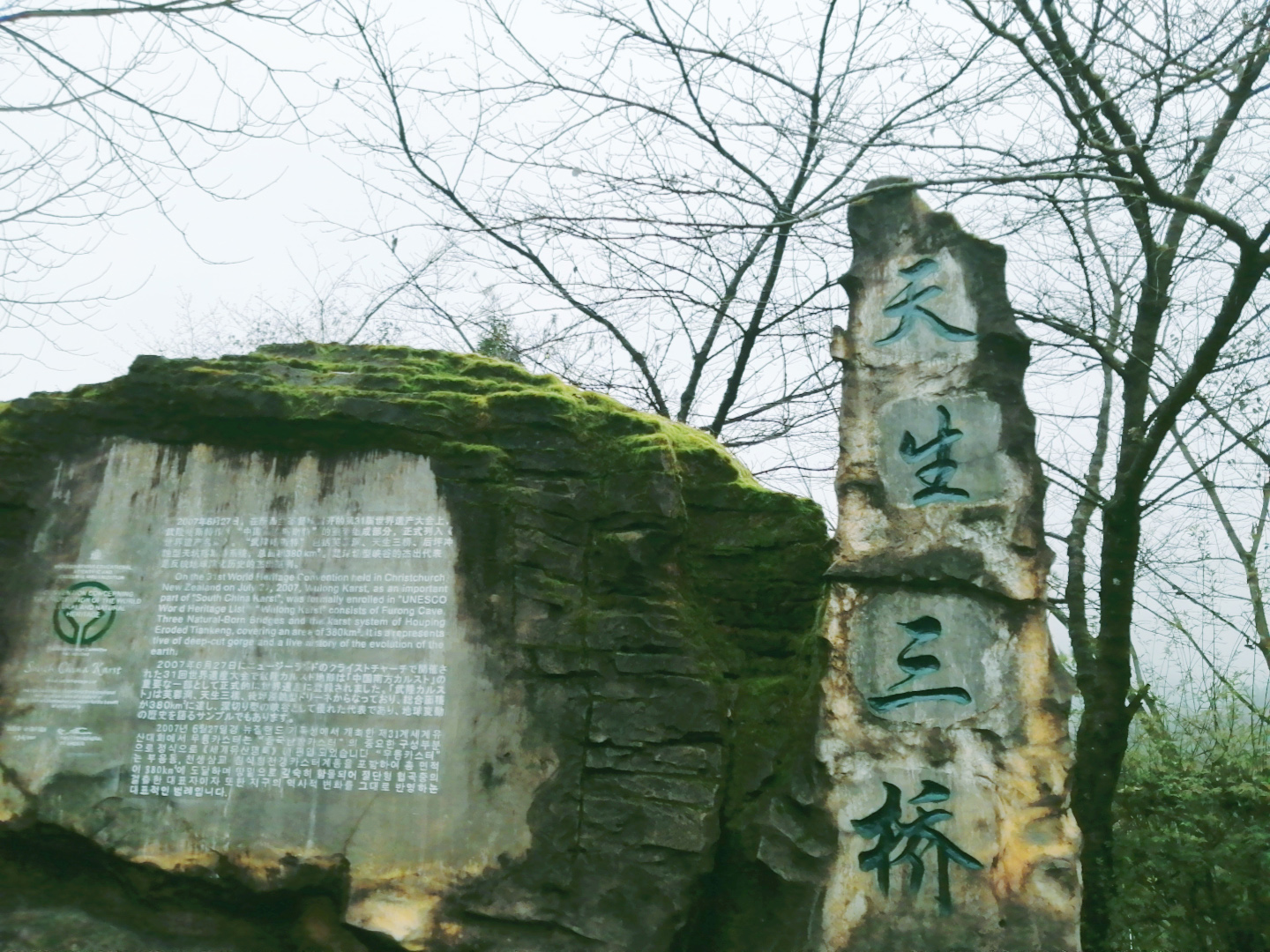 武隆仙女山和天坑两日游,重庆武隆仙女山2日游