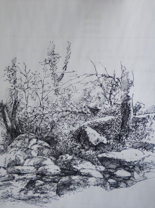 幸福原创画吧,幸福画吧画友作品展示