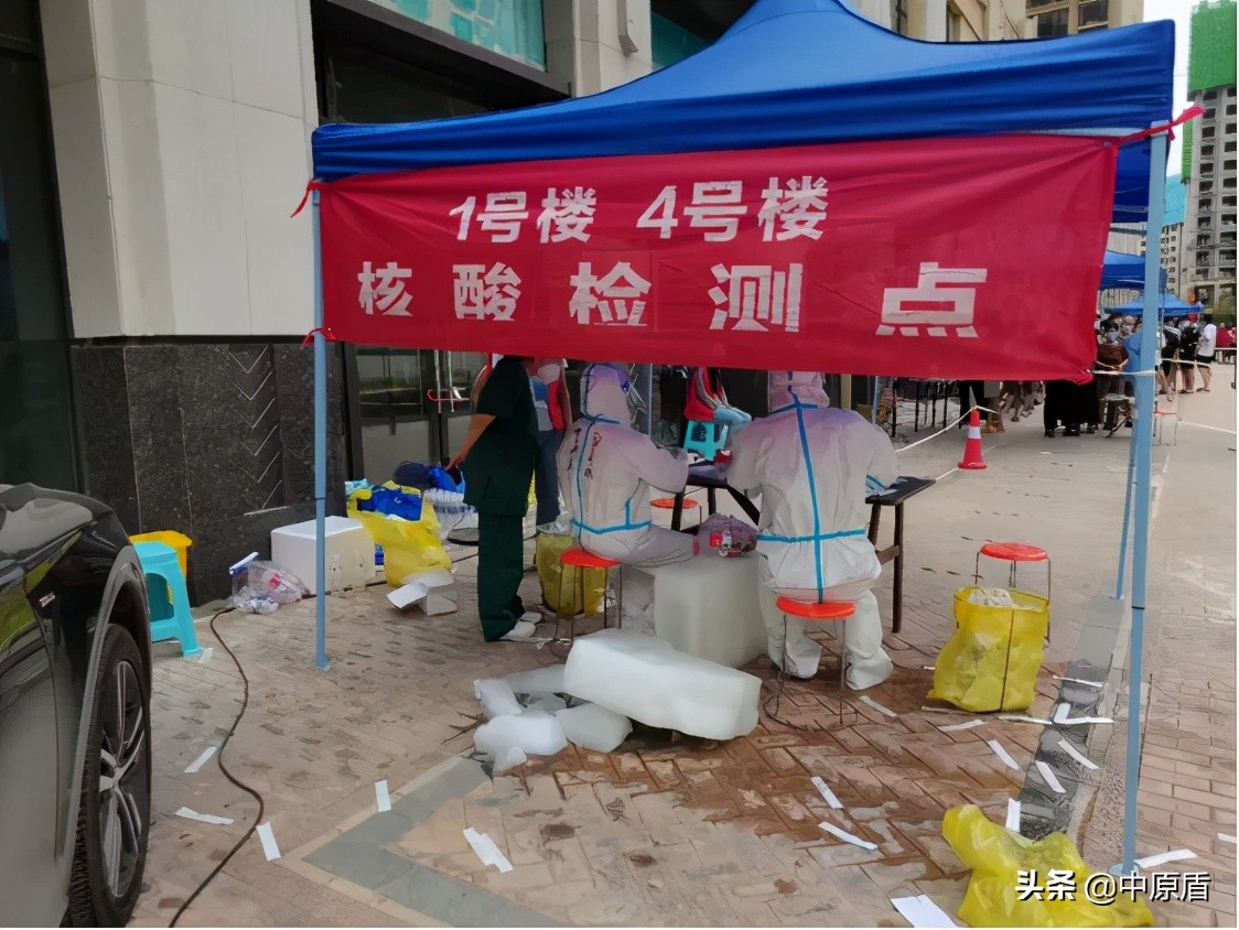 河南大学生志愿者出征,河南大学生志愿服务