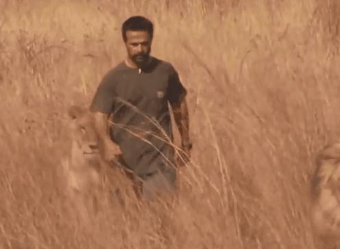 国庆档哪部影片延迟,国庆前最后一天