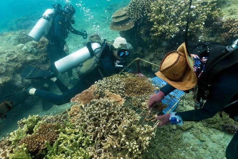 去了三亚不跟团,去了三亚不看海