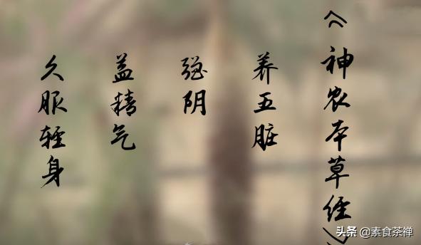 沙漠人参肉苁蓉哪里的最好,肉苁蓉生长环境与沙漠优势