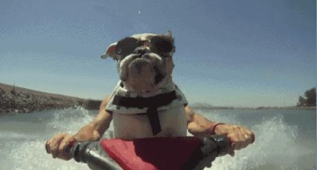 重庆宜家购物攻略,重庆宜家哪些值得购买