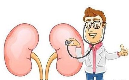 大生化中的肾功能是哪些指标,肾功能不全是哪些指标不正常