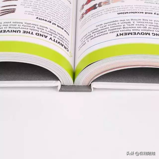 dk知识大百科全套,dk知识大百科书金银版