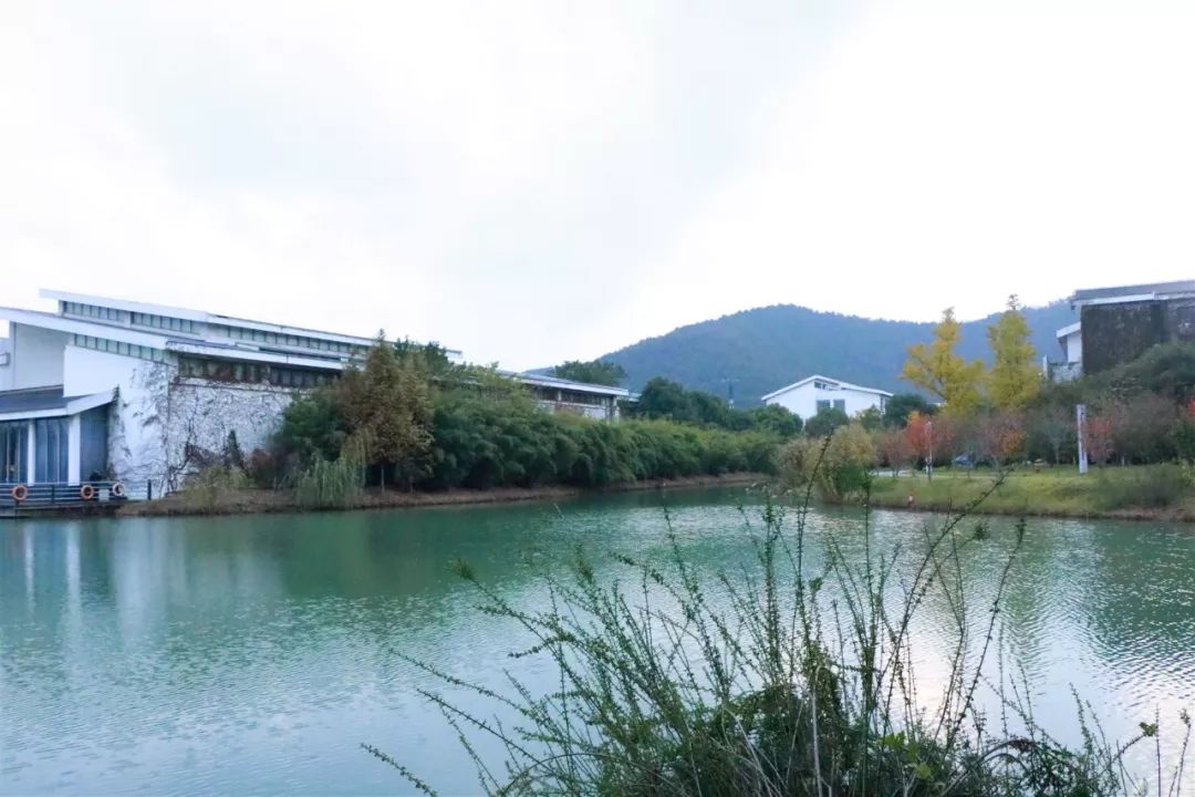 苏州工艺美院,苏州工艺美院代码