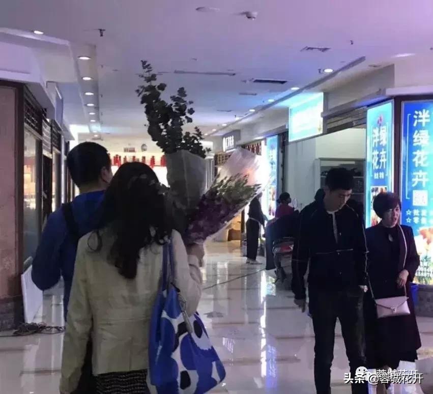 鍥涘窛钃夊煄鑺卞紑鑺卞競,钃夊煄鑺卞競