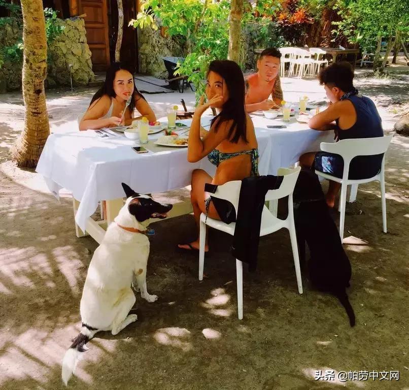 帕劳旅行水母湖,帕劳水母湖海岛