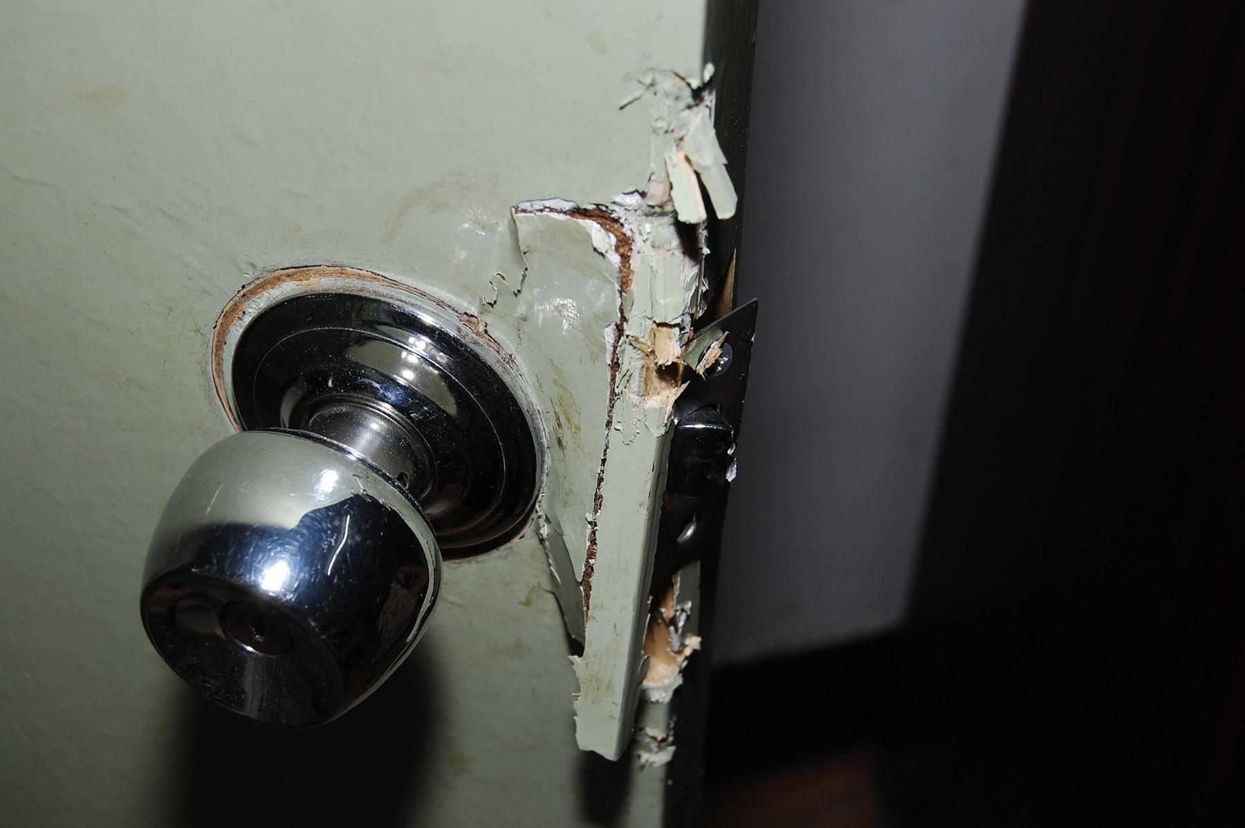 尼康d40机身,尼康第一部数码单反