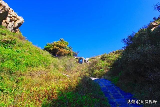 大连庄河黑岛照片,大连庄河黑岛