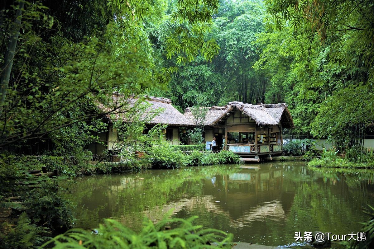 成都天府二街美食,成都天府夜间美食攻略