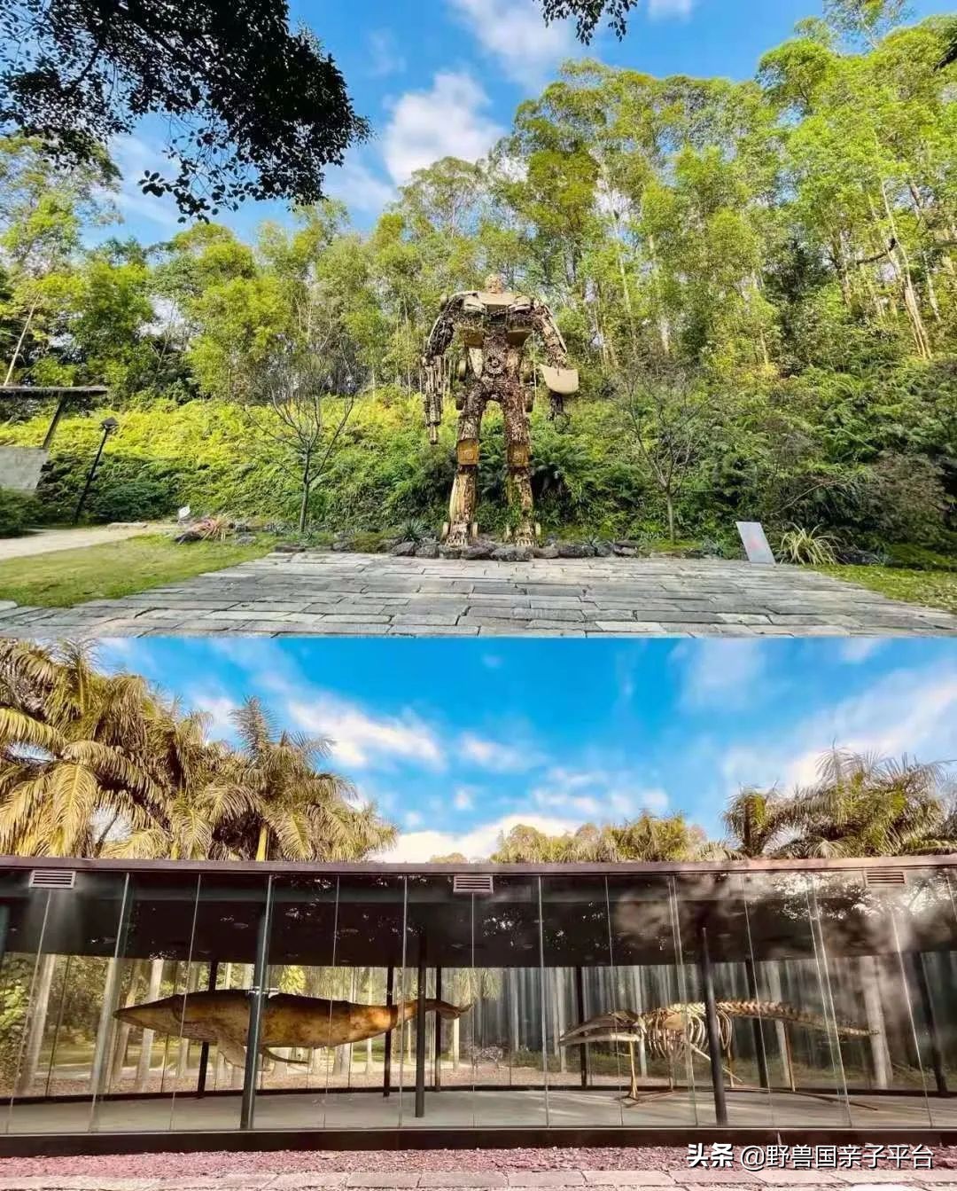 广州遛娃出游,广州遛娃3-4天攻略