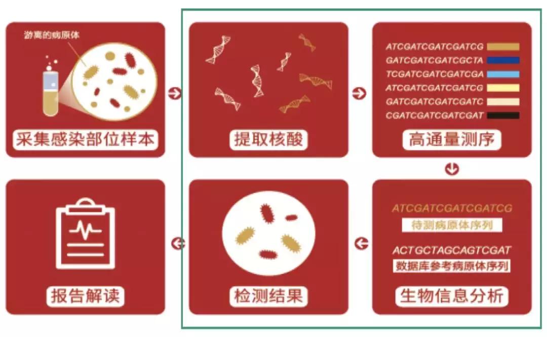 mngs病原检测的优势,mngs真的可靠吗