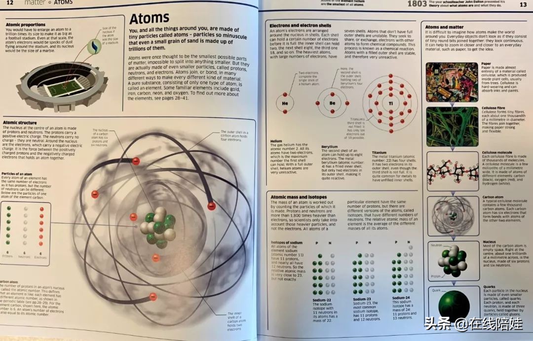 dk知识大百科全套,dk知识大百科书金银版