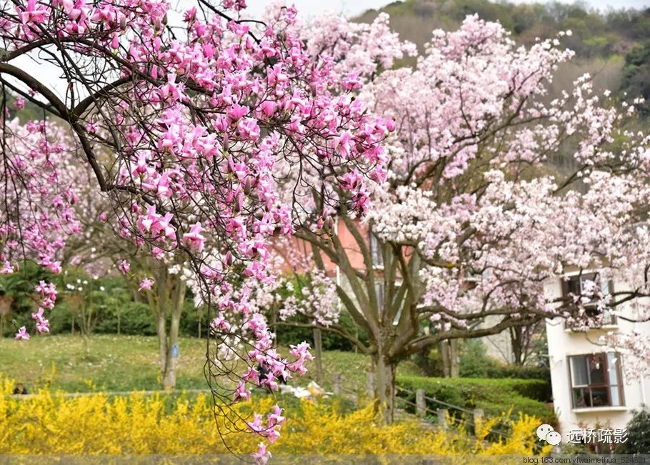 药王谷里觅旧迹（原图文）