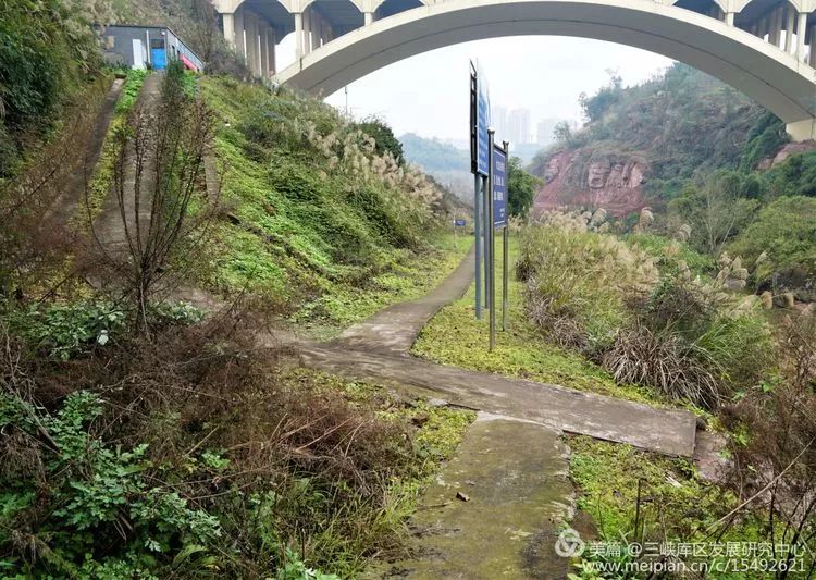 北碚复兴镇最近的视频,重庆市北碚龙门桥