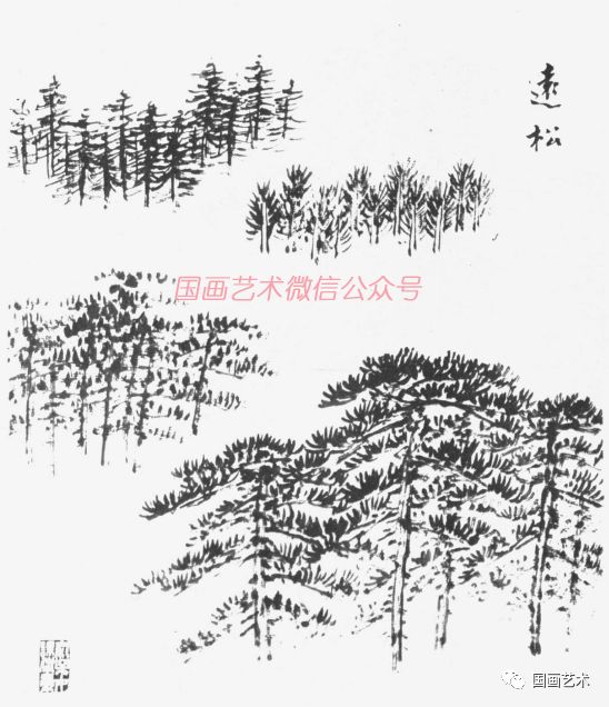俞子才画松视频,如何快速画松树国画
