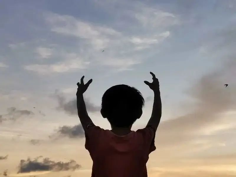 大家用手机拍出过什么好看的照片,赞别人的照片拍摄得好的句子