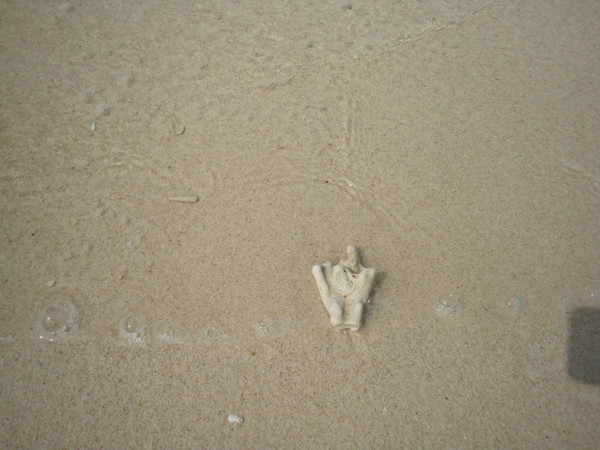 西安到三亚旅游攻略自由行费用,海南旅游攻略自由行三亚最佳路线