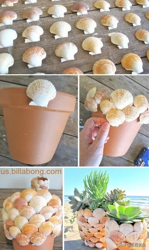 大海的馈赠咋做,大海的馈赠贝壳