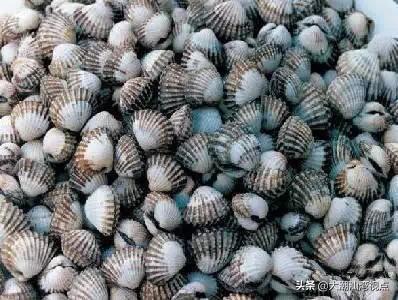 作为潮汕人，这89种海鲜你都能对上号吗