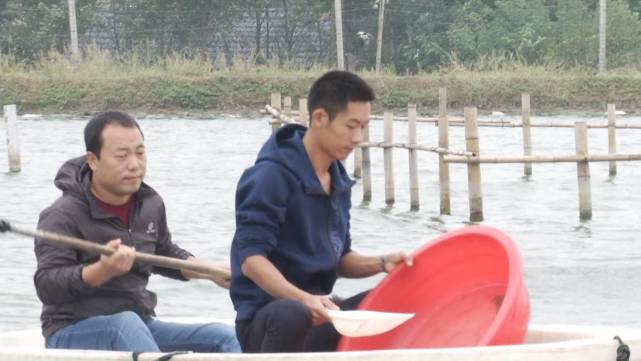 养殖海虾的真实利润,85后小伙在农村养殖