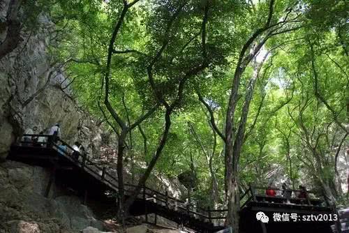 五一宿州游玩攻略,五一假期旅游推荐宿州