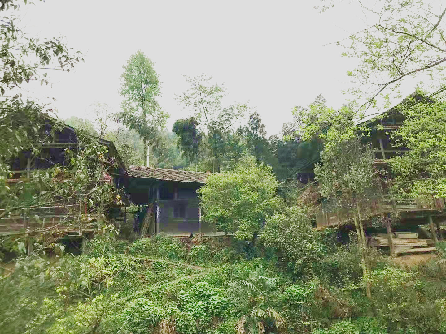 祭父百日诗,百日祭父文范文大全