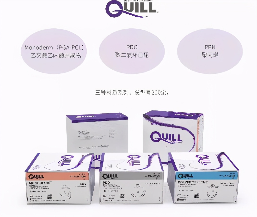 极限挑战医学解剖模型,极限挑战全肠道破损
