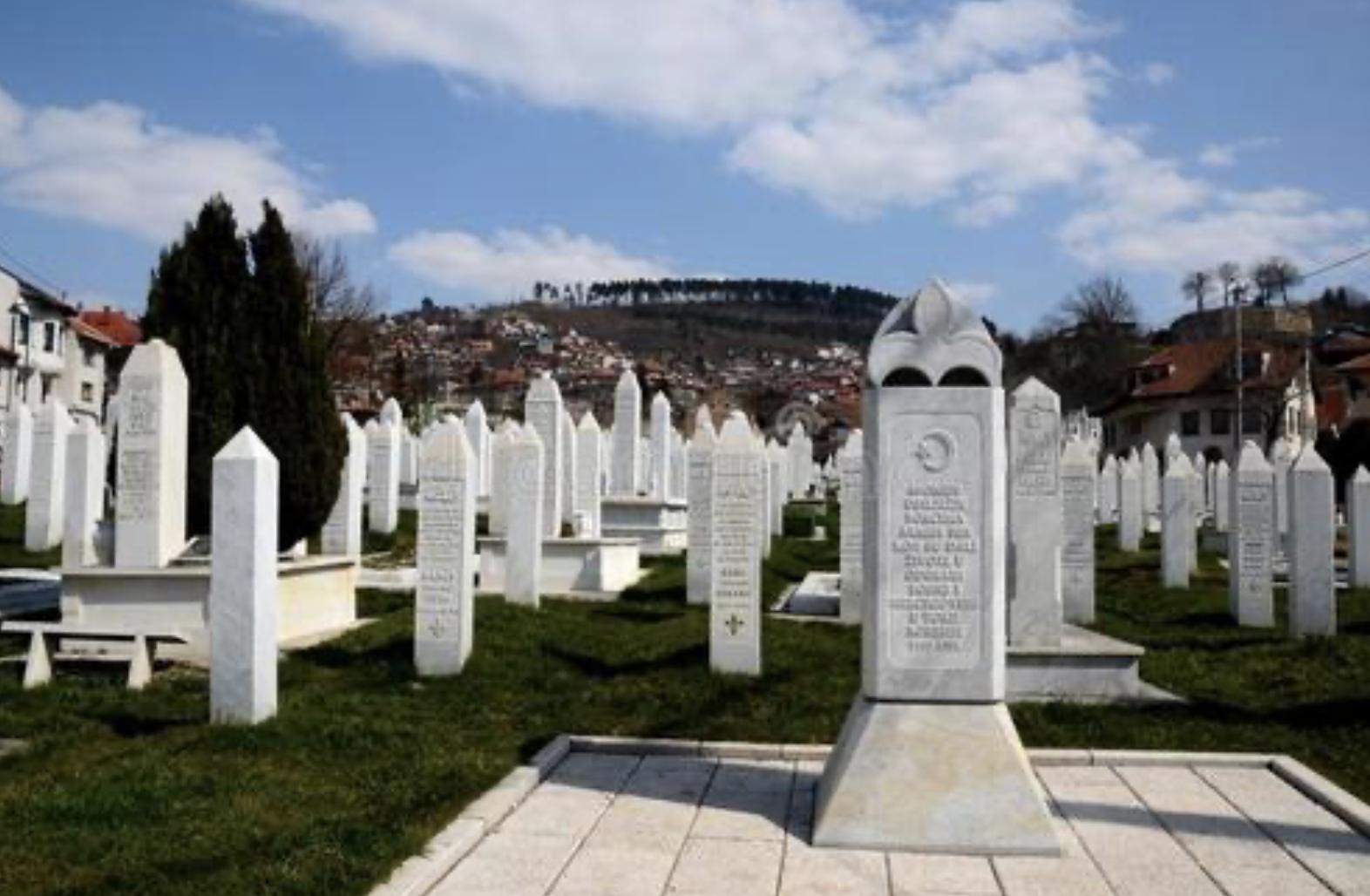 免费播放瓦尔特保卫萨拉热窝电影,老影片瓦尔特保卫萨拉热窝