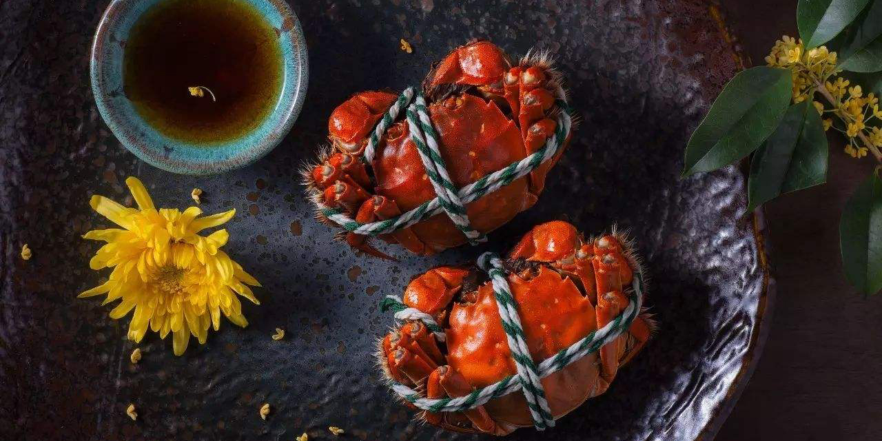 十种食物不能和药一起吃,七种食物不能和虾一起吃