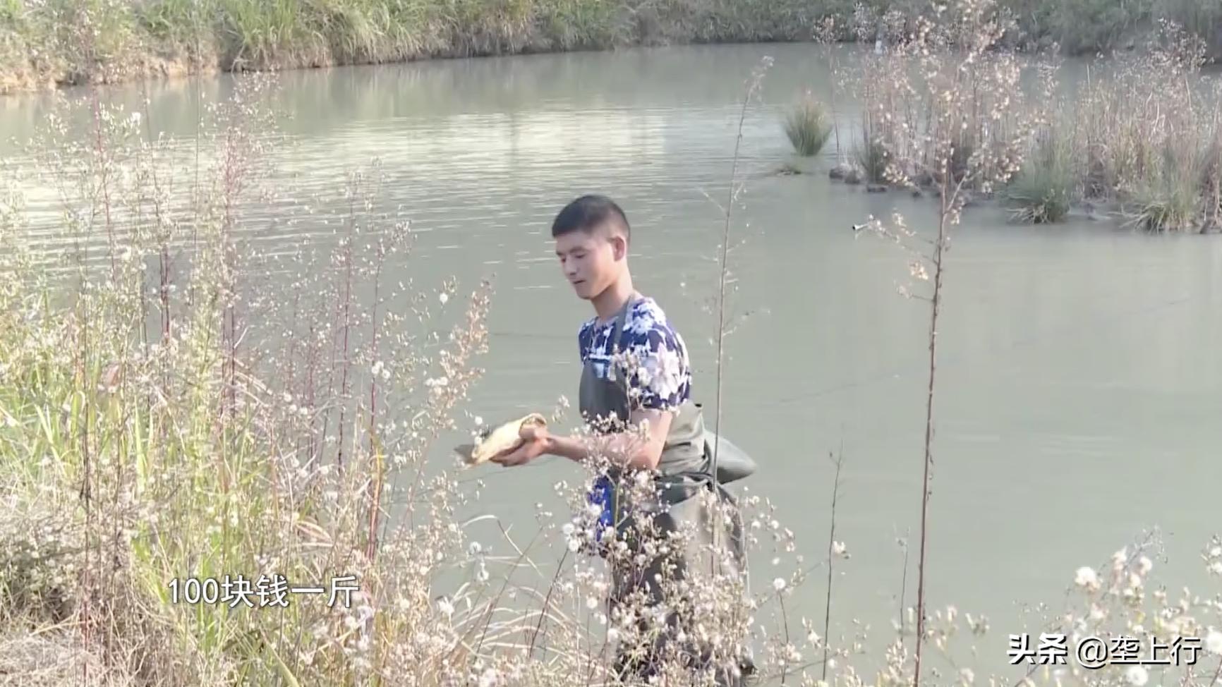 一月卖出500多斤!十堰残疾小伙玩转短视频,把甲鱼卖到全国