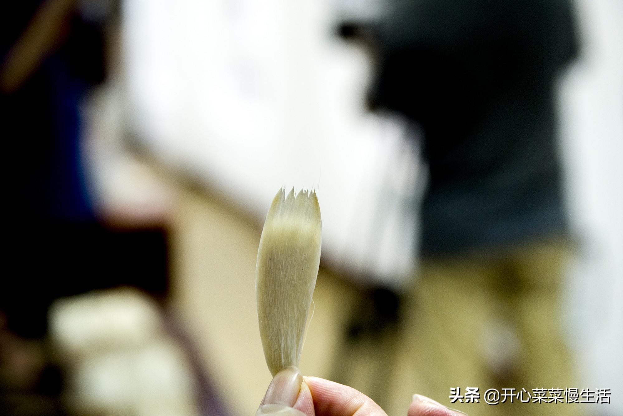 中国画什么毛笔好,画国画用什么毫的毛笔好