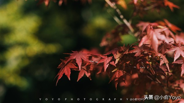 韩国旅游不可错过的景点,韩国不能错过的3部电影