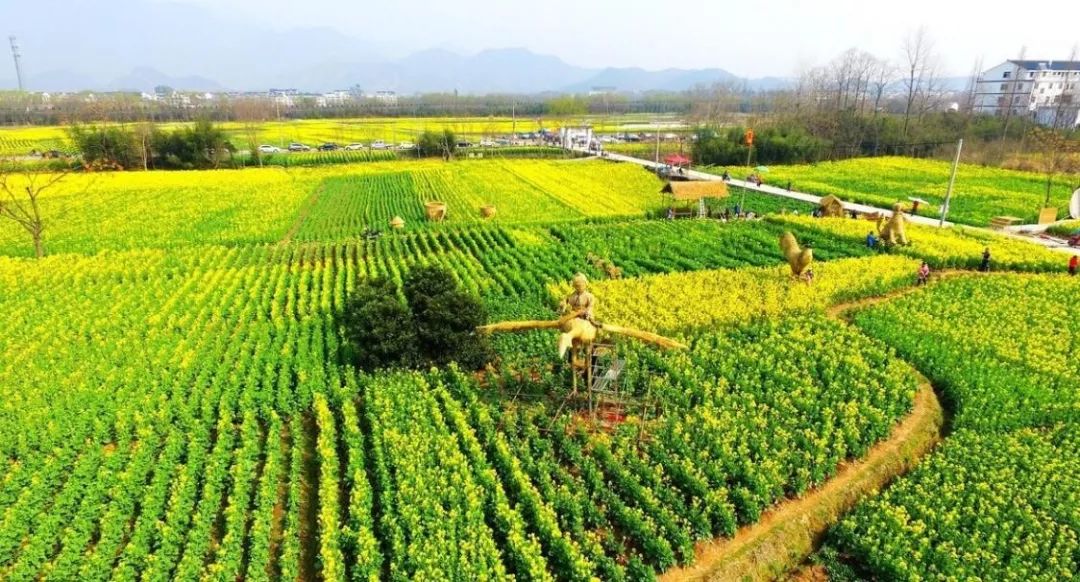 案例|农村三产融合新样板:梨园公社(堪称经典)