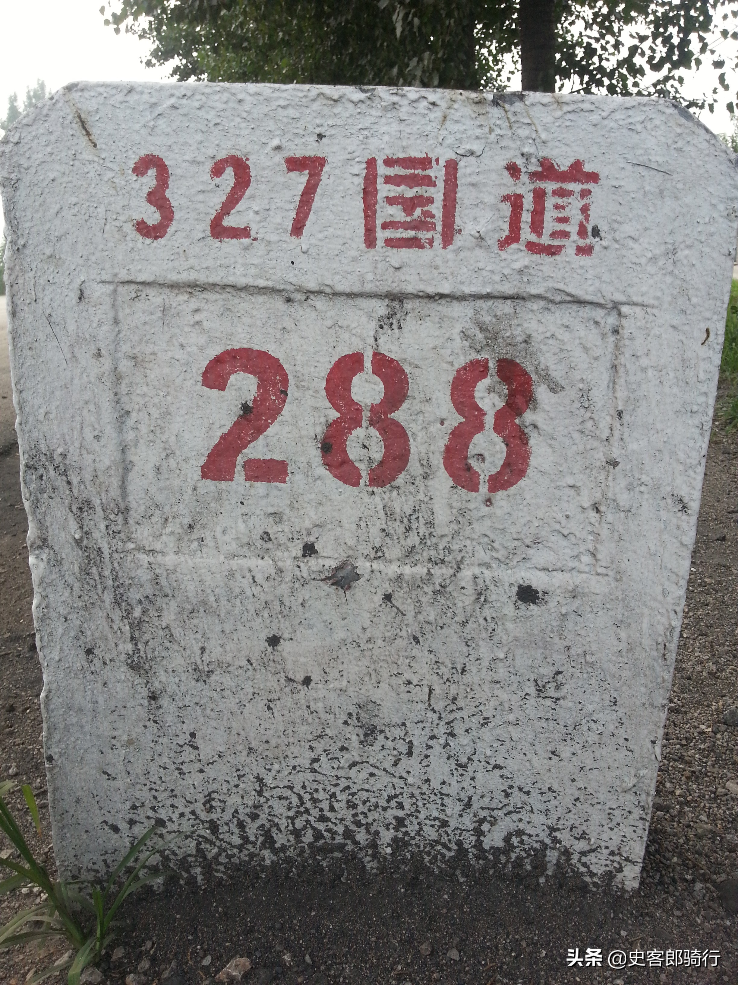 骑行山东阳谷,骑行泗孟田园