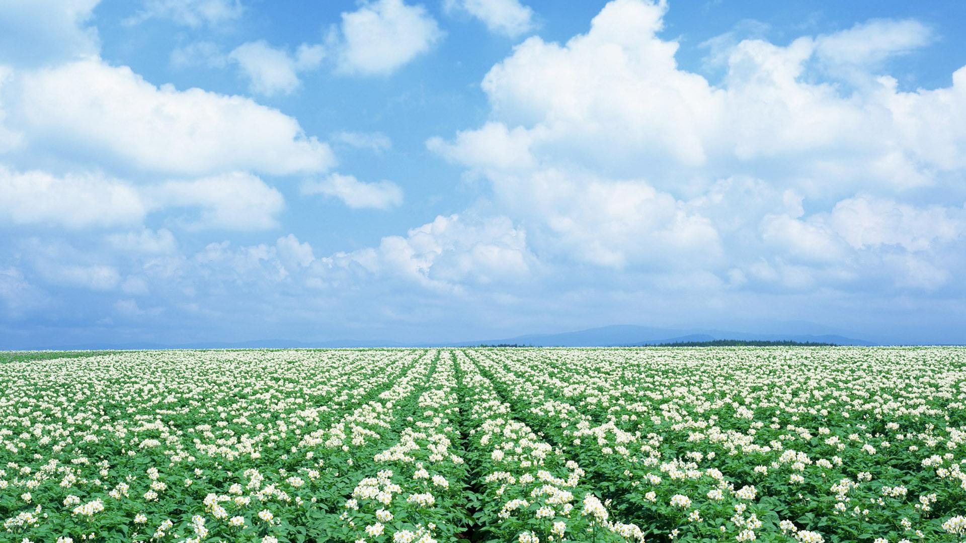 恐惧死亡心理学深度解析,死亡不恐惧心理分析