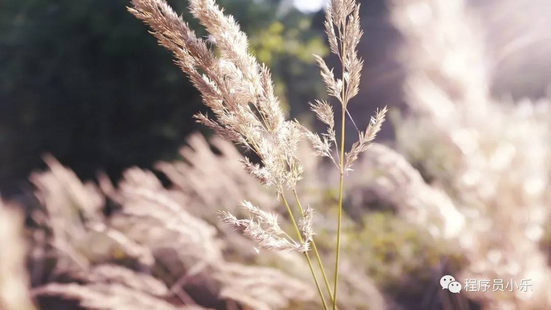 3d妯″瀷寤烘ā瀛︿範,3d妯″瀷婕旂ず鍞辨瓕