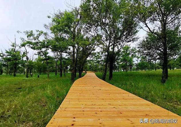 坝上草原拍照打卡,旅游打卡坝上草原