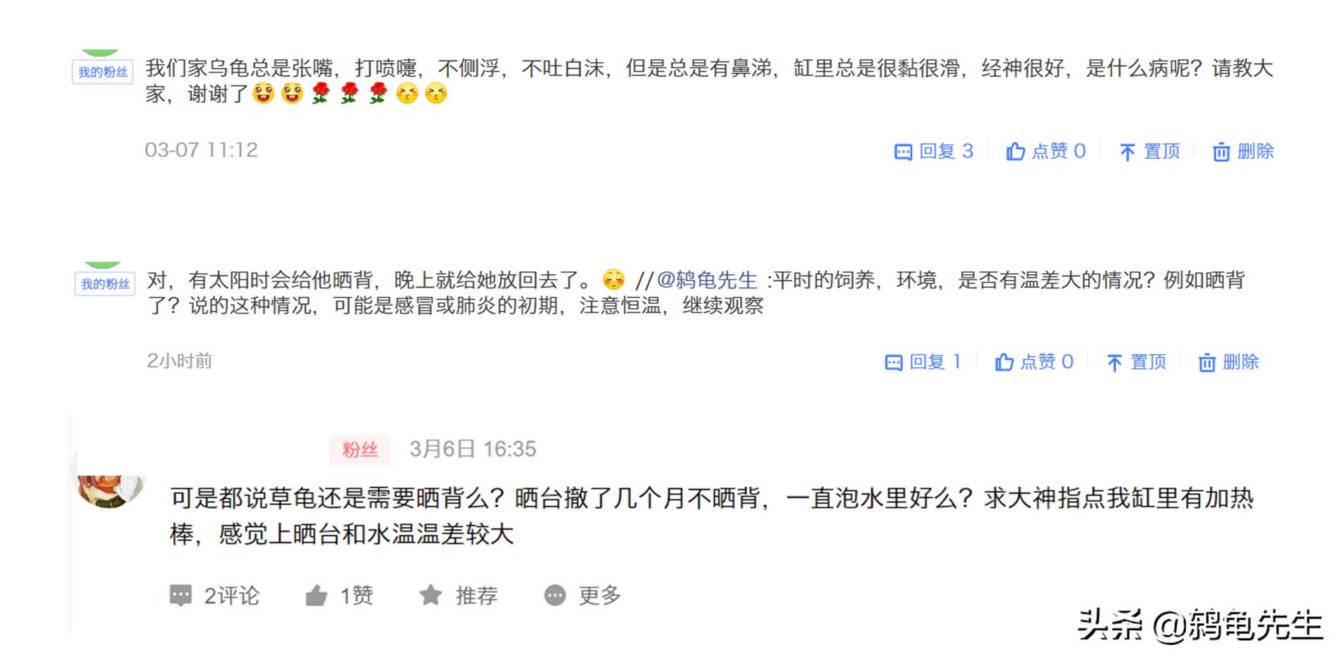 养乌龟的说法是不是迷信,养乌龟有必要买晒背灯吗