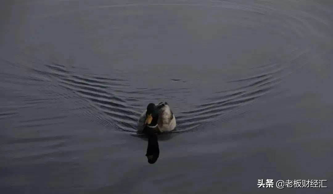 中国县城社会现状,中国县城发展情况