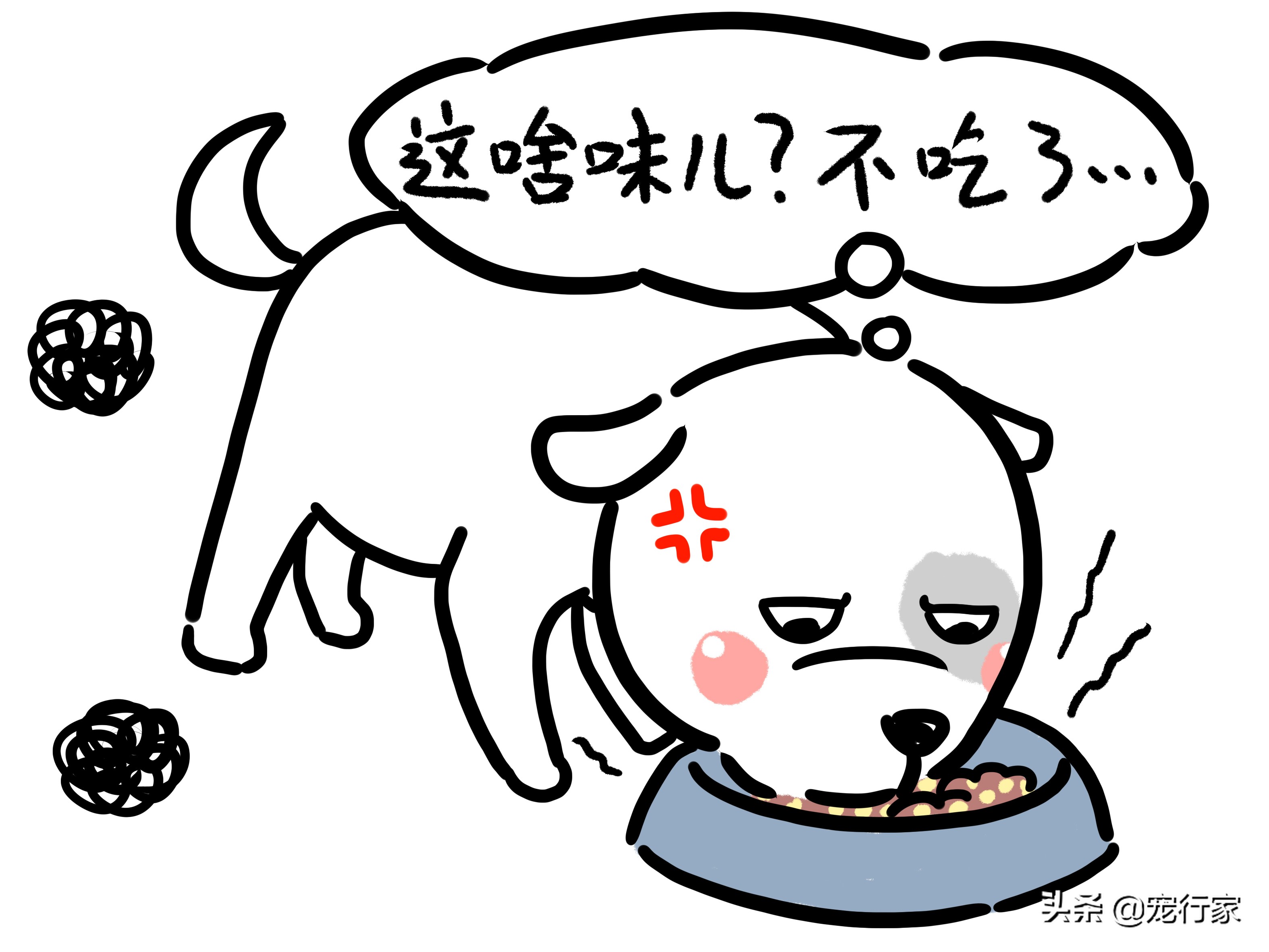 狗换粮太急拉稀了怎么办,狗的胃不消化