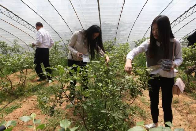 淄博周末旅游攻略自由行,淄博冬季旅游攻略