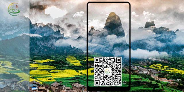 旅行社甘南旅游,广州广之旅国际旅行